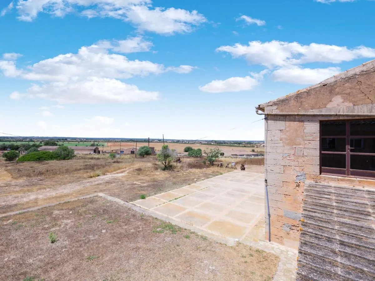 Σπίτι διακοπών Duplex On Estate With Private Access To The Most Beautiful Beach In Mallorca Campos  Ισπανία